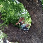2018-04-28 παδί πάνω σε δέντρο στη παιδική χαρά του Αγ. Νικολάου